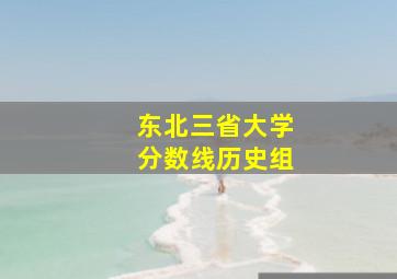 东北三省大学分数线历史组