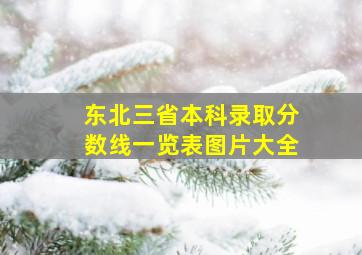 东北三省本科录取分数线一览表图片大全