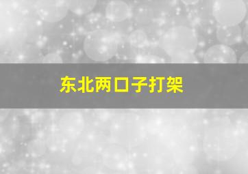 东北两口子打架