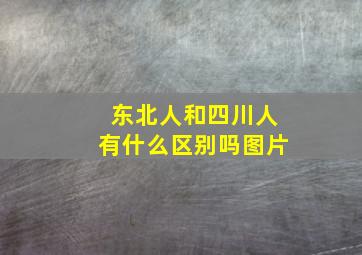 东北人和四川人有什么区别吗图片