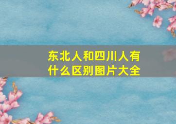 东北人和四川人有什么区别图片大全