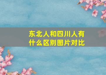 东北人和四川人有什么区别图片对比