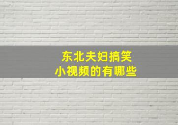 东北夫妇搞笑小视频的有哪些