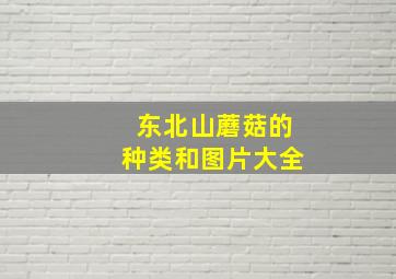 东北山蘑菇的种类和图片大全