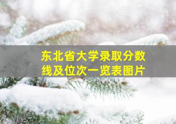 东北省大学录取分数线及位次一览表图片