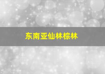 东南亚仙林棕林