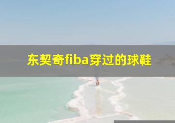 东契奇fiba穿过的球鞋