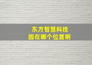 东方智慧科技园在哪个位置啊