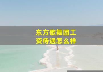 东方歌舞团工资待遇怎么样