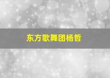 东方歌舞团杨哲