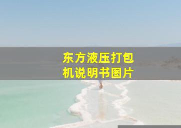 东方液压打包机说明书图片