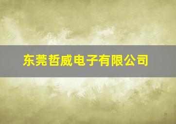 东莞哲威电子有限公司