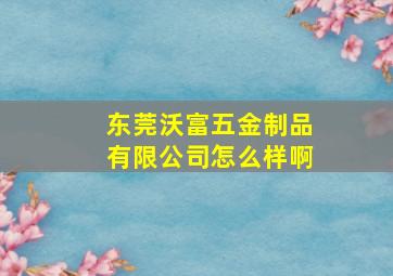 东莞沃富五金制品有限公司怎么样啊