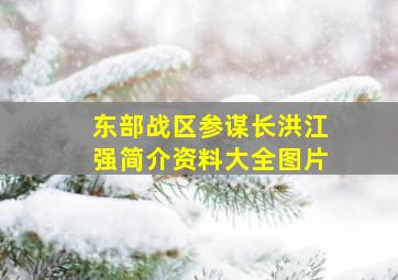 东部战区参谋长洪江强简介资料大全图片