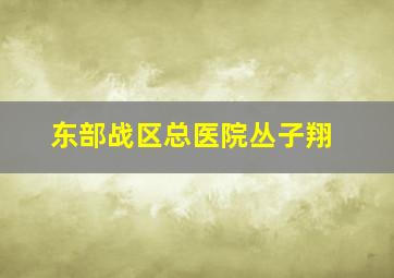 东部战区总医院丛子翔