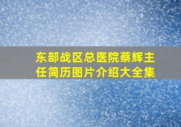 东部战区总医院蔡辉主任简历图片介绍大全集