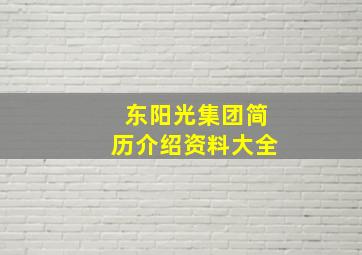 东阳光集团简历介绍资料大全