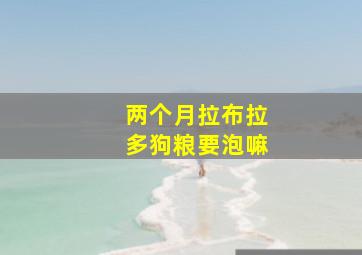 两个月拉布拉多狗粮要泡嘛