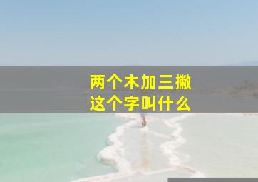 两个木加三撇这个字叫什么