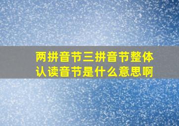 两拼音节三拼音节整体认读音节是什么意思啊