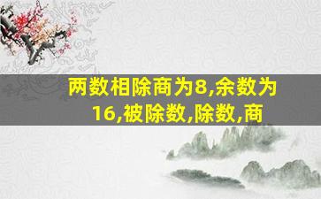 两数相除商为8,余数为16,被除数,除数,商