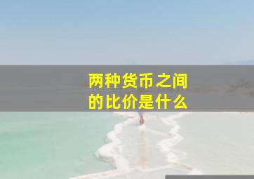 两种货币之间的比价是什么