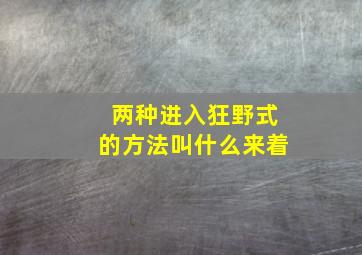 两种进入狂野式的方法叫什么来着