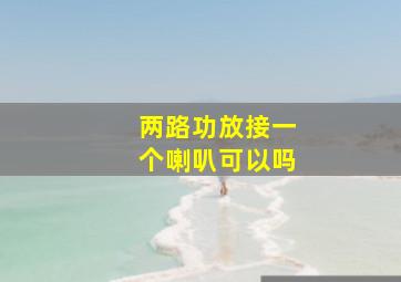 两路功放接一个喇叭可以吗