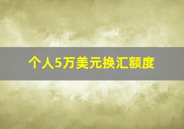 个人5万美元换汇额度