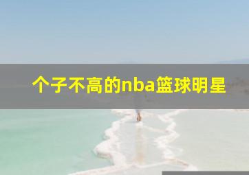 个子不高的nba篮球明星