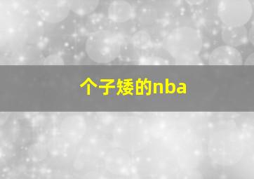 个子矮的nba