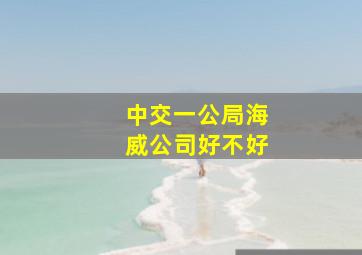 中交一公局海威公司好不好