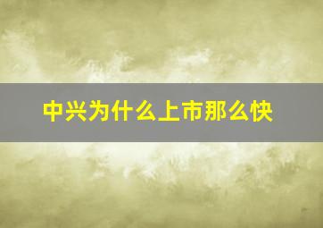 中兴为什么上市那么快