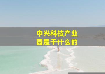 中兴科技产业园是干什么的