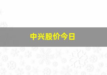 中兴股价今日