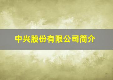 中兴股份有限公司简介