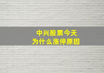 中兴股票今天为什么涨停原因