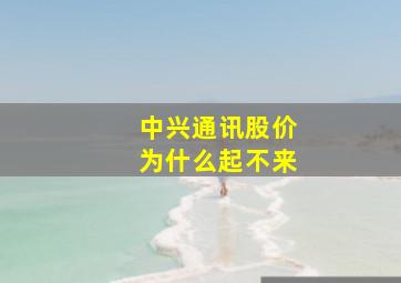 中兴通讯股价为什么起不来