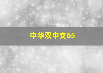 中华双中支65