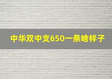 中华双中支650一条啥样子