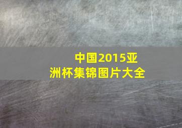 中国2015亚洲杯集锦图片大全