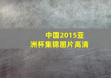 中国2015亚洲杯集锦图片高清