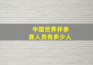 中国世界杯参赛人员有多少人