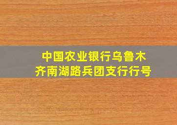 中国农业银行乌鲁木齐南湖路兵团支行行号