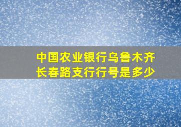 中国农业银行乌鲁木齐长春路支行行号是多少