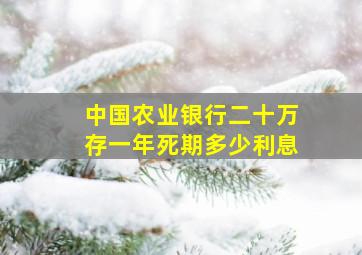 中国农业银行二十万存一年死期多少利息