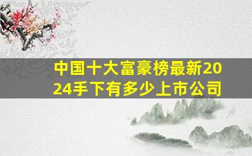 中国十大富豪榜最新2024手下有多少上市公司