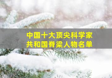 中国十大顶尖科学家共和国脊梁人物名单