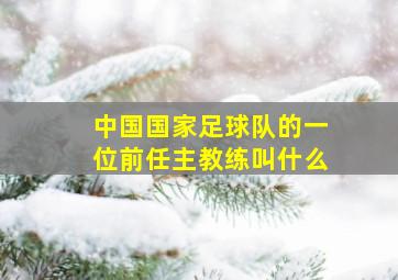 中国国家足球队的一位前任主教练叫什么