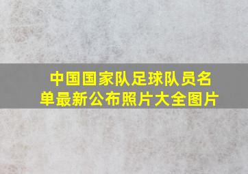 中国国家队足球队员名单最新公布照片大全图片